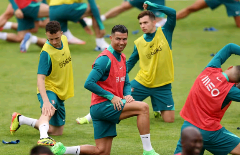 Portugal Manager: Ronaldo's Selection Based on Merit, Not Reputation; Team Prepared for Full Tournament