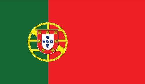 Hosts' slip-up! Allianz Arena Media Center Incorrectly Displays Portugal's Flag Colors