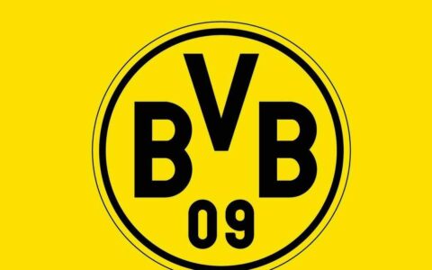 Borussia Dortmund Official: Terzic No Longer in Charge of the Team