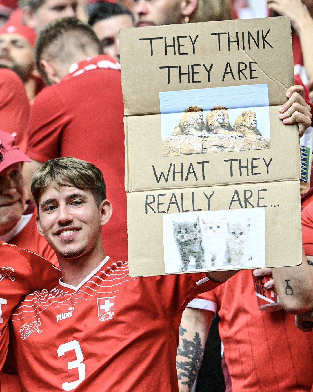 Swiss fans mock England with banner: They think they're the Three Lions, but they're actually the Three Cats