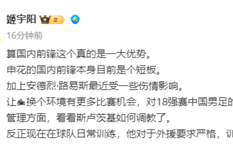 Media Figures: Domestic Forwards Are Currently a Weak Point for Shenhua; A Change of Environment Would Benefit Fernandinho