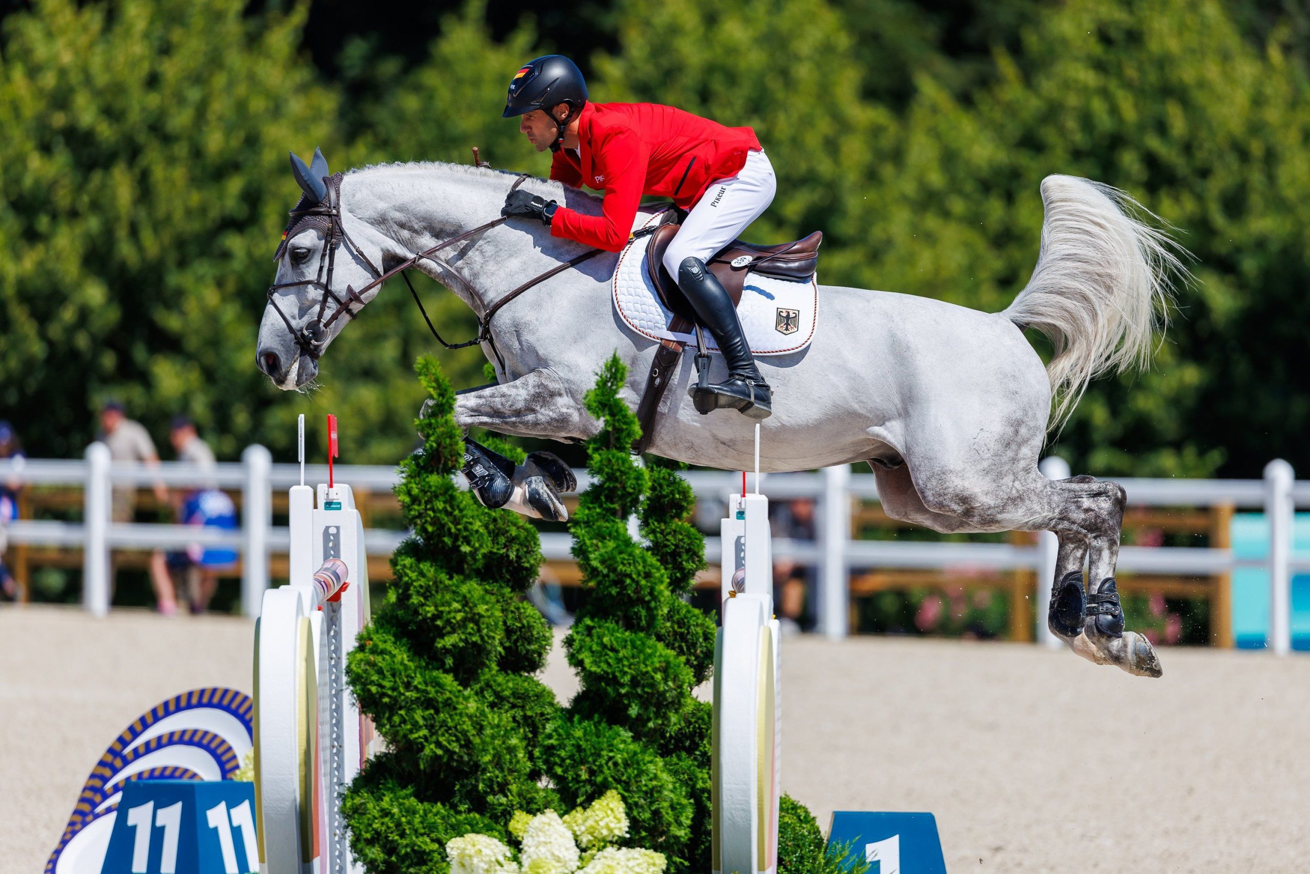 Gold Medal Goes to You! Müller's Horse Helps German Athlete Win Olympic Equestrian Title