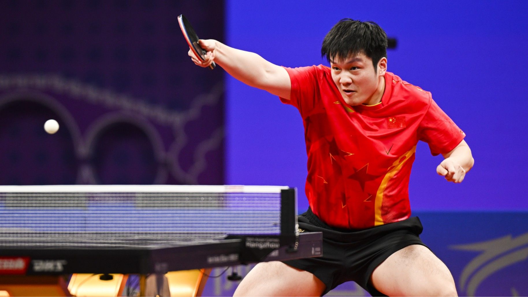 Highlight Battle! Fan Zhendong vs. Tomokazu Harimoto in the Final Tonight