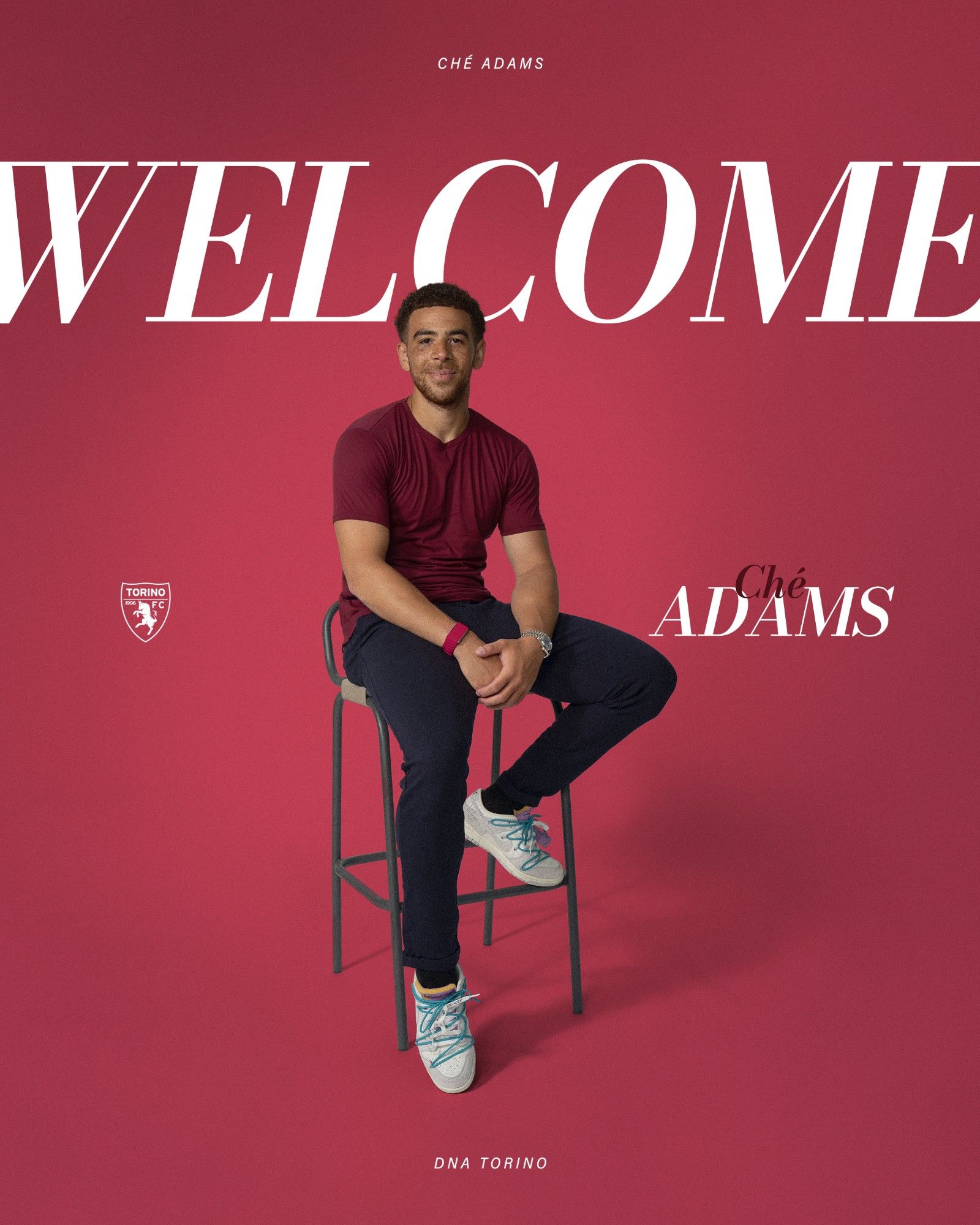 Official: Torino Signs Scottish International Che Adams