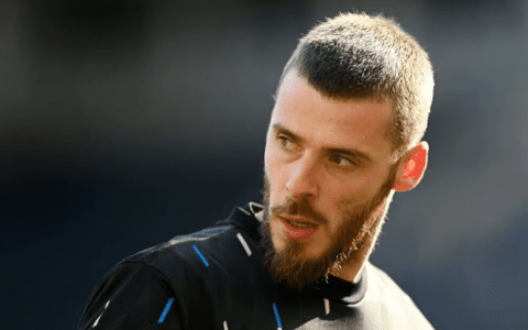 Skyra: De Gea Asking for a €2.5 Million Annual Salary from Fiorentina; Intermediary Pushing for Deal