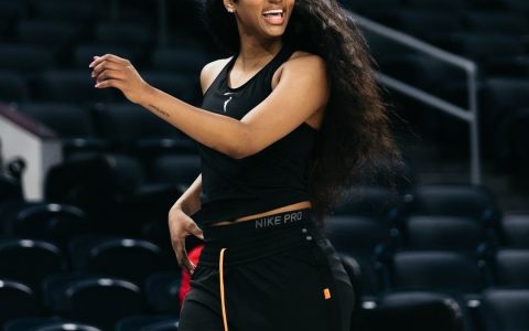 Rebound Monster! WNBA Rookie Reese Achieves Consecutive Games with at Least 20 Rebounds, Ties Leslie for Fourth in History