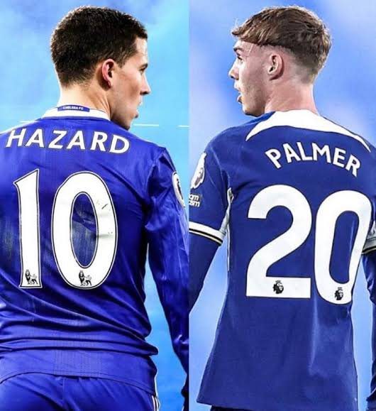 Palmer: I Would Love to Play with Hazard, But Our Styles Are Very Different