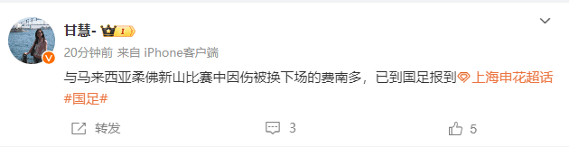 Shenhua Follow-up: Fernandinho, who was injured during the match against Johor Darul Ta'zim, has reported to the National Team